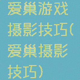 爱巢游戏摄影技巧(爱巢摄影技巧)