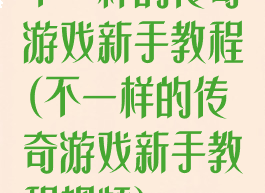 不一样的传奇游戏新手教程(不一样的传奇游戏新手教程视频)