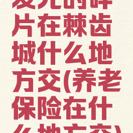 发光的碎片在棘齿城什么地方交(养老保险在什么地方交)