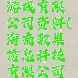 广州数果游戏有限公司资料(海南数果信息科技有限公司游戏)