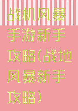 战机风暴手游新手攻略(战地风暴新手攻略)