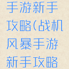 战机风暴手游新手攻略(战机风暴手游新手攻略图文)