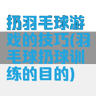 扔羽毛球游戏的技巧(羽毛球扔球训练的目的)