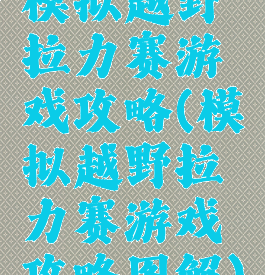 模拟越野拉力赛游戏攻略(模拟越野拉力赛游戏攻略图解)