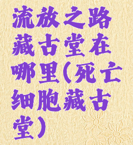 流放之路藏古堂在哪里(死亡细胞藏古堂)