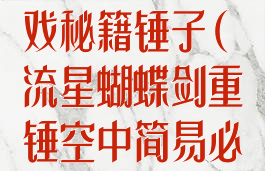 流星蝴蝶剑游戏秘籍锤子(流星蝴蝶剑重锤空中简易必杀)