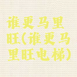 谁更马里旺(谁更马里旺电梯)